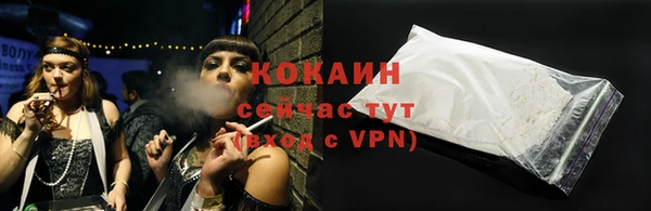 дживик Пестово