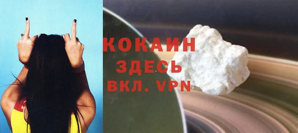 сатива Покачи