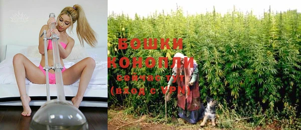 тгк Пересвет