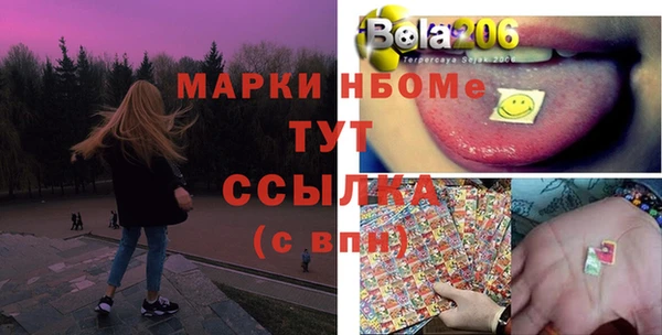 сатива Покачи