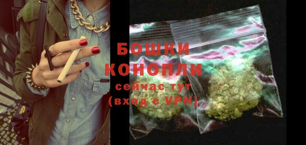 дживик Пестово