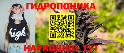 гидра Жуковский