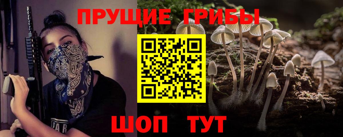 Псилоцибиновые грибы ЛСД Ревда